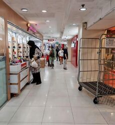Lucky Plaza (D9), Shop House #529728121